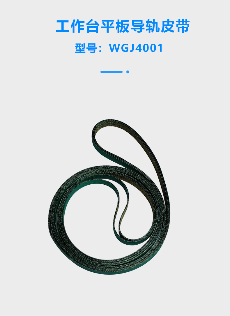  導軌皮帶(圖1)